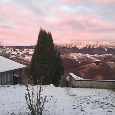 Drumul Carului Villa Moieciu de Jos Luaran gambar