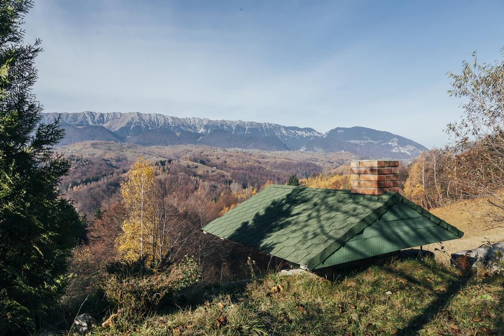 Drumul Carului Villa Moieciu de Jos Bilik gambar