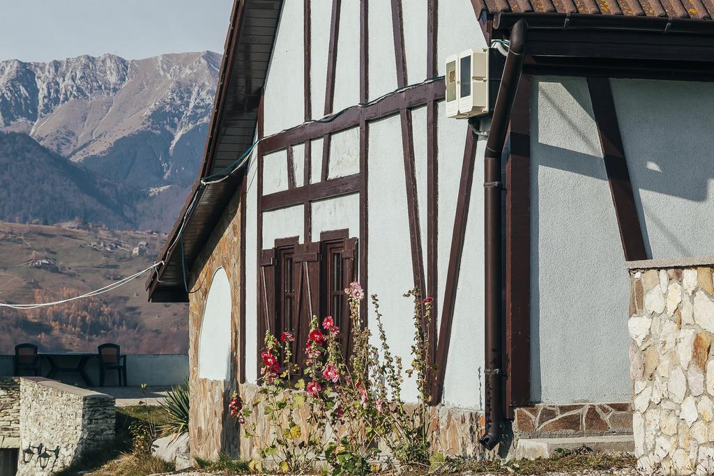 Drumul Carului Villa Moieciu de Jos Luaran gambar