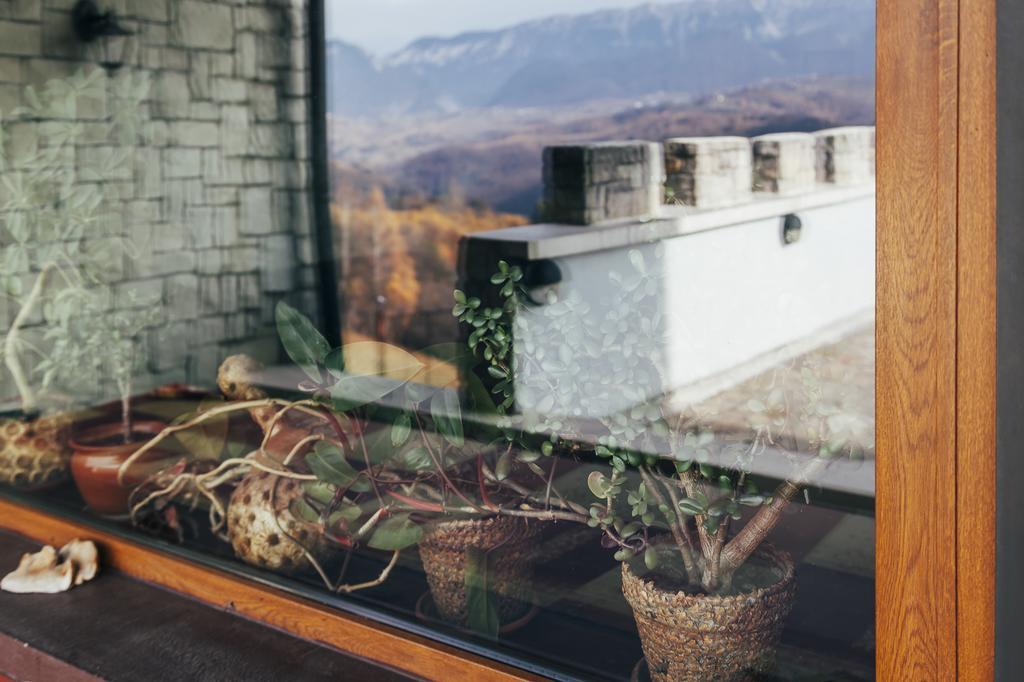 Drumul Carului Villa Moieciu de Jos Luaran gambar