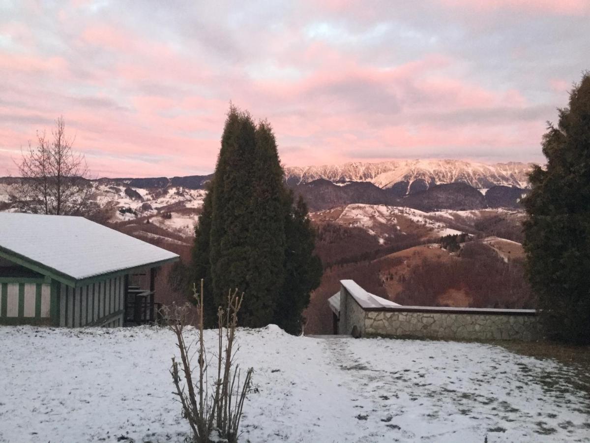 Drumul Carului Villa Moieciu de Jos Luaran gambar