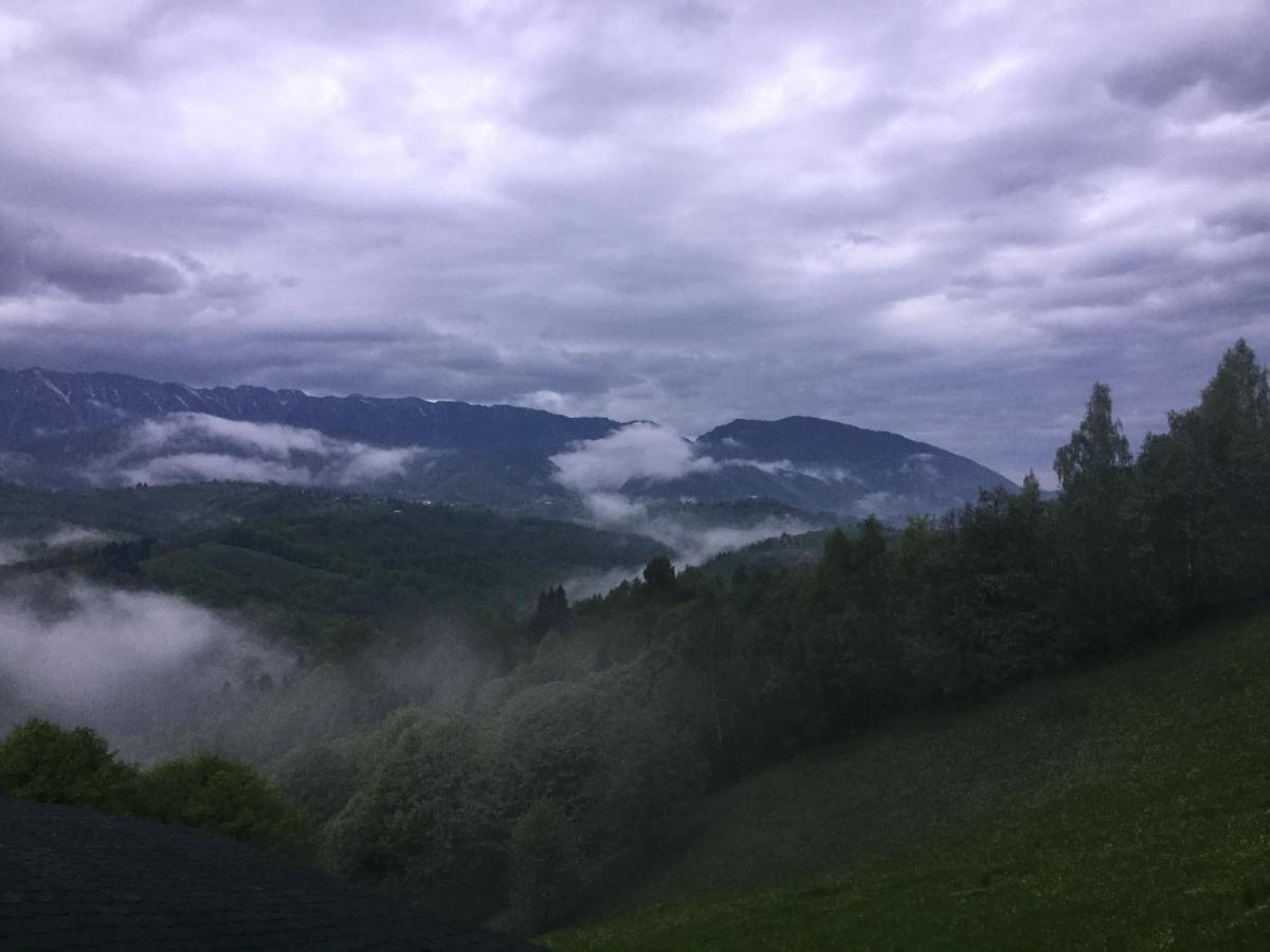 Drumul Carului Villa Moieciu de Jos Luaran gambar